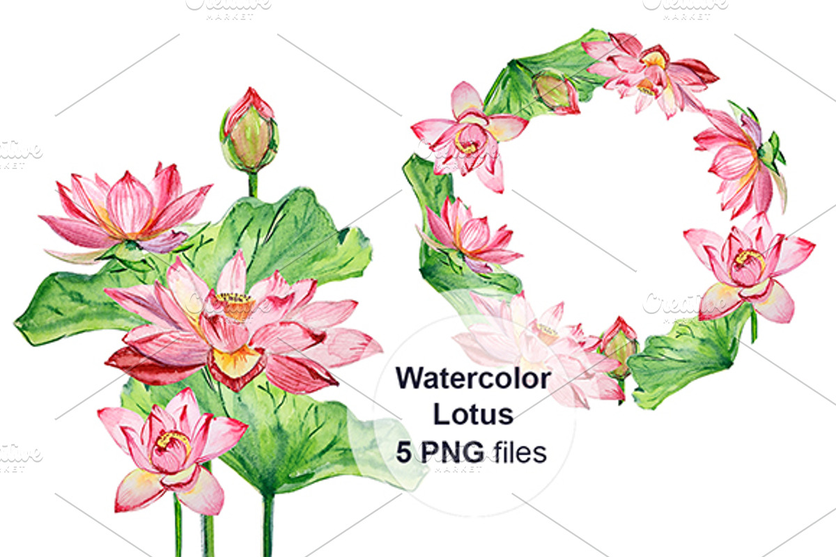 Watercolor Lotus, an Illustration by lilisavelieva (Photo 3 of 3)