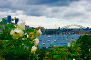 Sydney Summer Instagram Bundle, a Photo by Samaky Photography (Thumbnail 3 of 4)