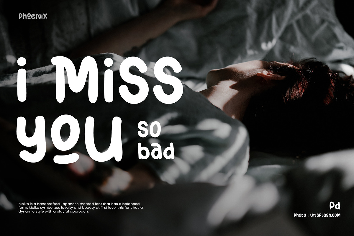 Meiko Font, a Script Font by Phoenix Dungeon (Photo 6 of 9)
