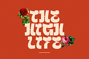 SNS - Querish, a Sans Serif Font by Sans & Sons (Thumbnail 10 of 10)