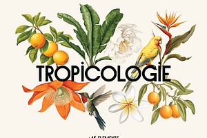 Vintage Botanical Clipart Bundle