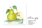 Set of 4 watercolor Fruits, an Illustration by Marina.Markizova (Thumbnail 3 of 6)