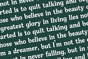 Gafjust Minfine Modern Serif, a Serif Font by timelesstype.co (Thumbnail 17 of 20)