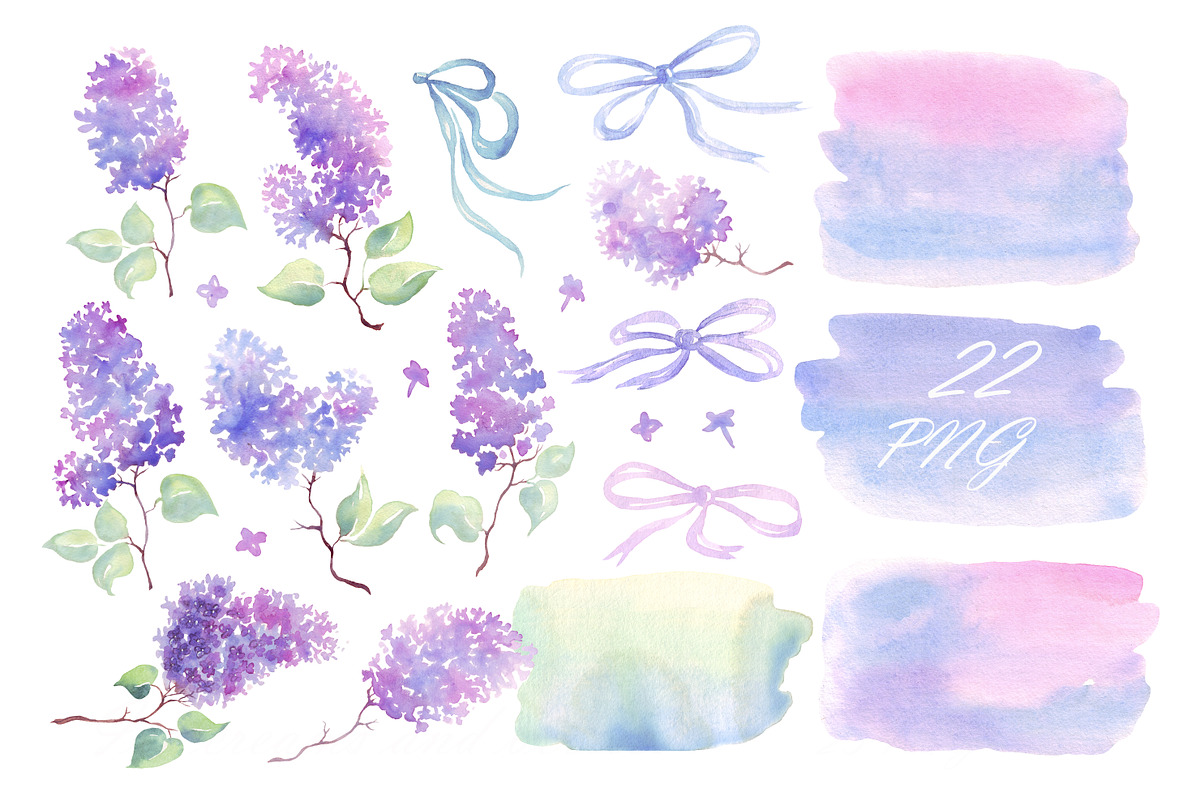 Watercolor lilac clipart png, an Illustration by Alena Kurian (Photo 2 of 2)