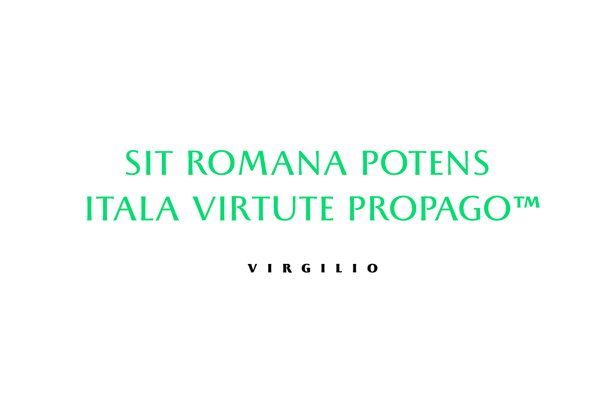 Beatrix Antiqua - 18 fonts preview 6