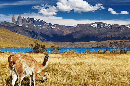 Torres del paine national park containing alp, america, and andes, a Nature Photo by Shop Name