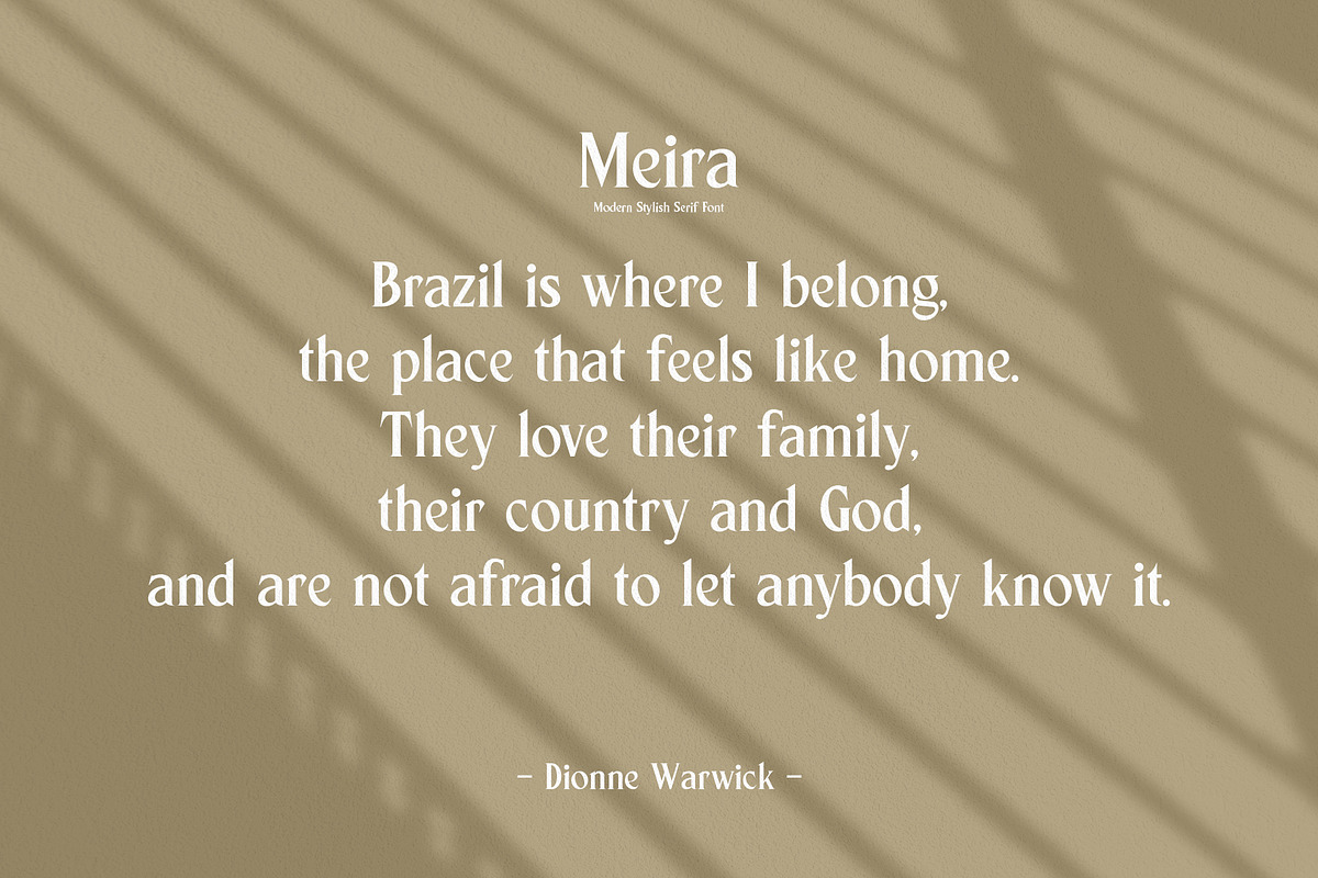 Meira Serif, a Serif Font by Alphaleonis_std (Photo 6 of 9)