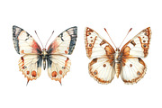 Vintage Butterflies Clipart, an Illustration by Designworld (Thumbnail 4 of 5)