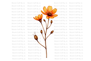 Rust Colored Wildflowers, a Decorative Illustration by Bloom Craft Creations (Thumbnail 10 of 10)