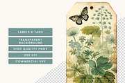 Vintage Botanical Digital Paper, a Background Graphic by BusyDaydesign (Thumbnail 6 of 8)