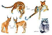 Watercolor WILD cats, an Animal Illustration by Anastasia (Thumbnail 11 of 13)