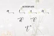 Astrid | Script Font, a Handwritten Font by Scratchones (Thumbnail 8 of 9)