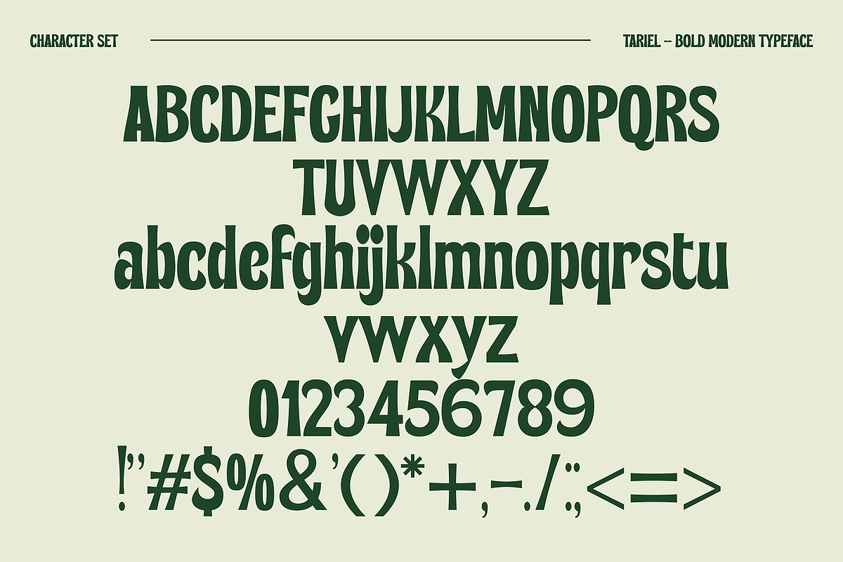 Tariel Bold Font, a Sans Serif Font by GRVS Studio (Photo 2 of 4)