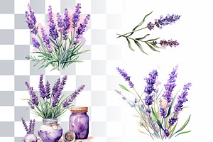 Southern Lavender Watercolor Clipart