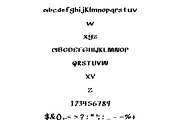 Domino, a Handwritten Font by Eryn Rose Design (Thumbnail 17 of 17)