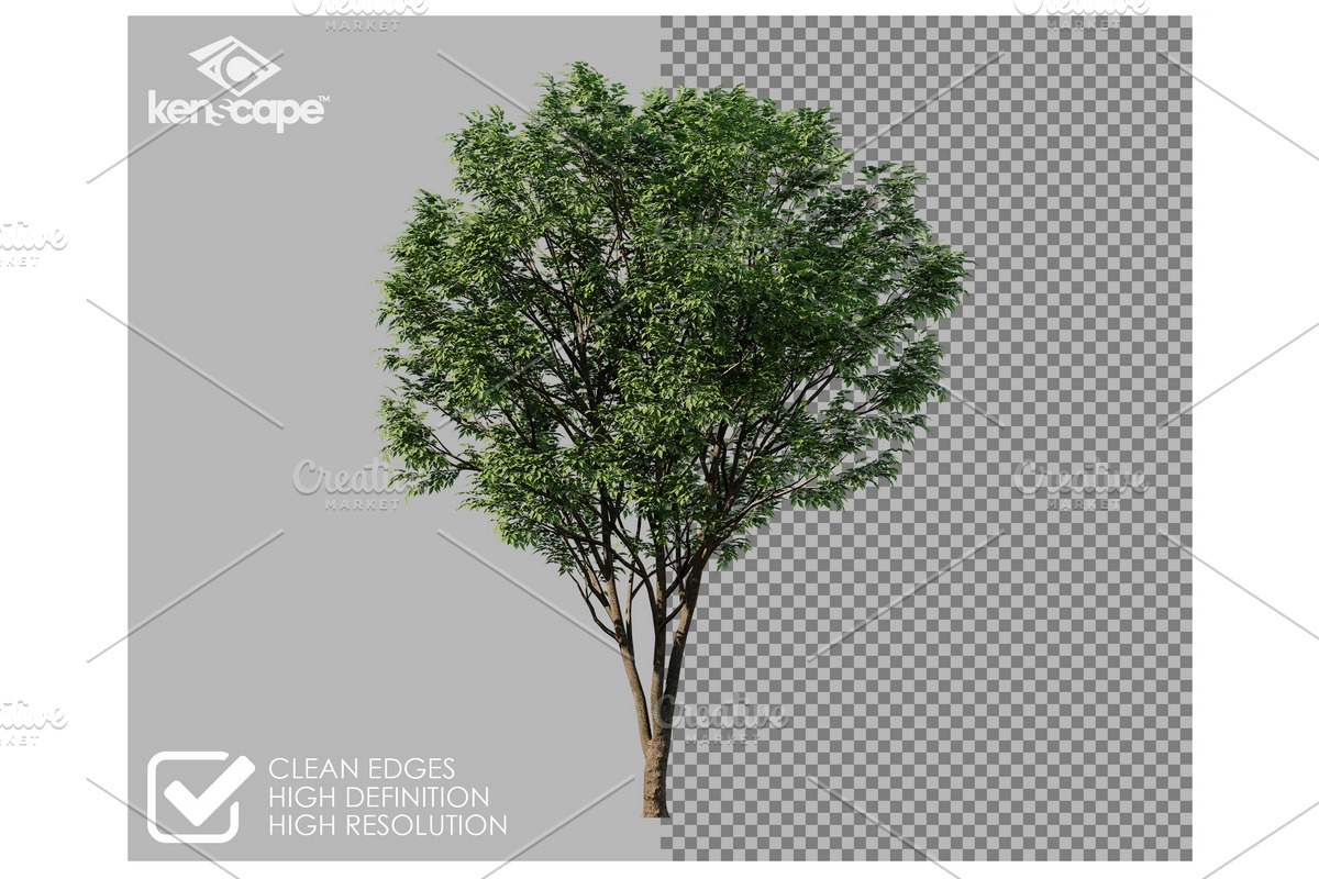 72 Assorted Trees Photo Overlays, a Nature Photo by KenScape (Photo 2 of 3)