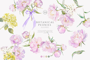watercolor coquette pink peony set, a Decorative Illustration by Patishop Art