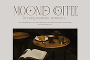 Safing ligature serif typeface, a Serif Font by yaqublekker (Thumbnail 2 of 9)