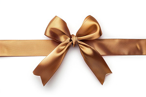 Brown satin ribbon bow on white background, a Holiday Photo by AlyaAnd