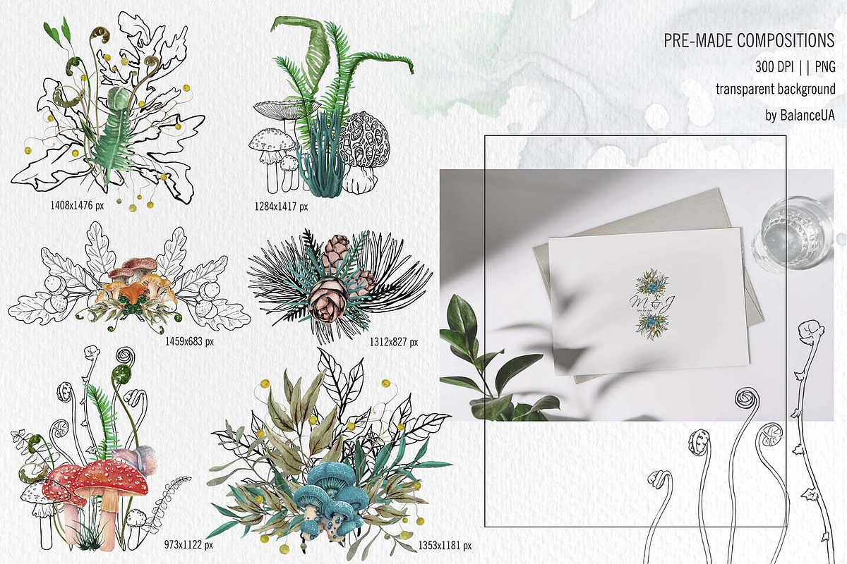 Mashrooms & Herbs Clipart, an Illustration by BalanceUA (Photo 5 of 10)