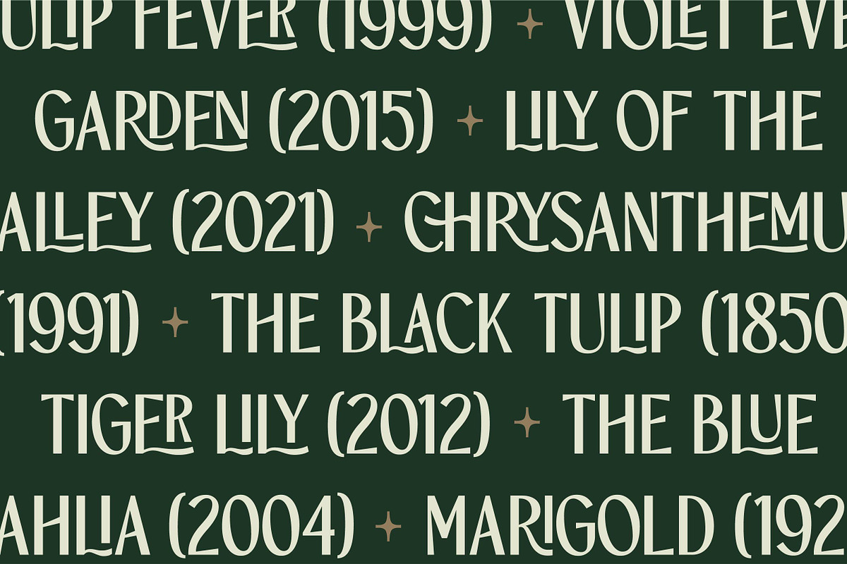 TBJ Orcherum Unique Ligatures Sans, a Font by Taboja Studio (Photo 9 of 21)