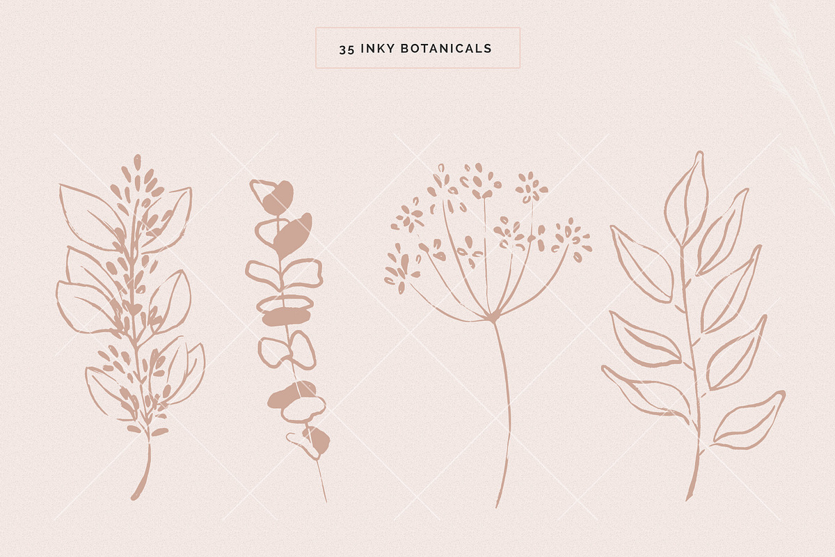 Organic Botanicals & Logo Designs, an Illustration by amber&ink (Photo 7 of 17)