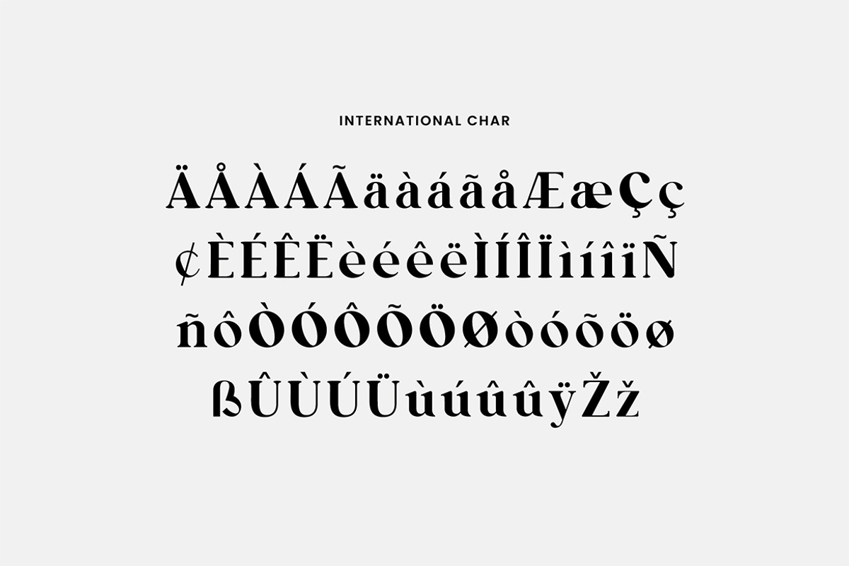 Stonewaller Modern Serif Font, a Serif Font by UICreative (Photo 7 of 12)