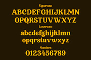 Meraki – Retro Serif Display Font, a Serif Font by PickyPicks (Thumbnail 10 of 12)