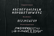 Rose Queen Clean Brush Font, a Handwritten Font by Bayuktx (Thumbnail 5 of 8)