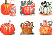 Pumpkin Hand Drawn Fall, an Illustration by Black Bird Studio (Thumbnail 6 of 6)