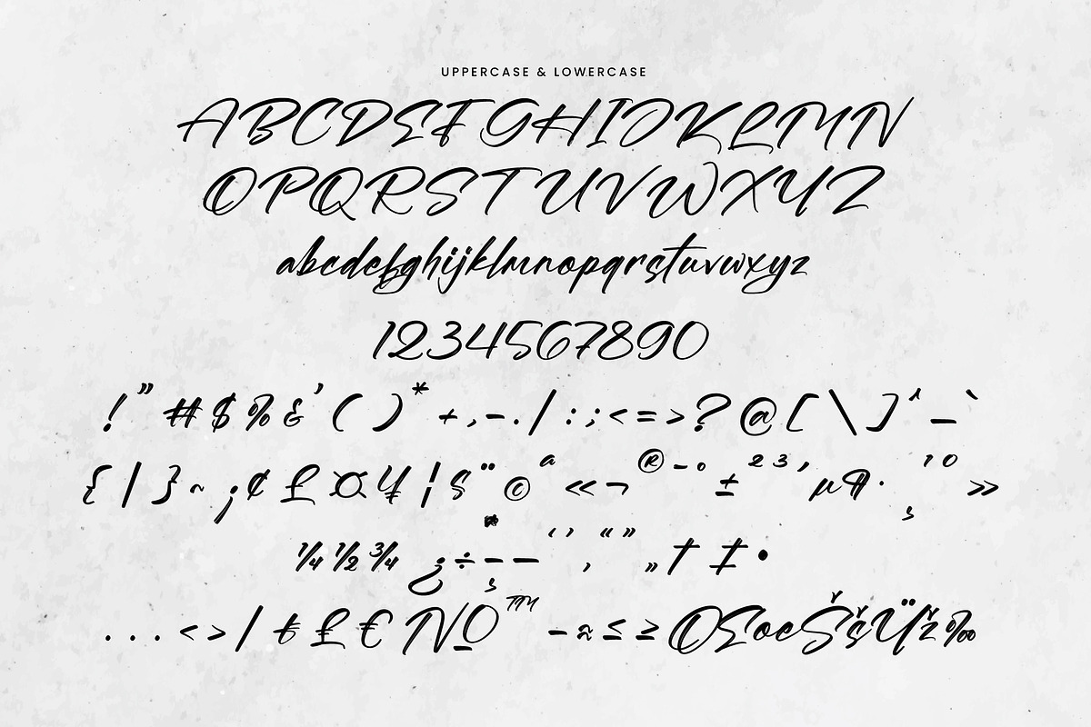 Blytthes, a Font by operatype.co (Photo 13 of 15)