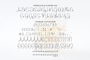 Whiskey | Script Font, a Handwritten Font by Scratchones (Thumbnail 6 of 7)