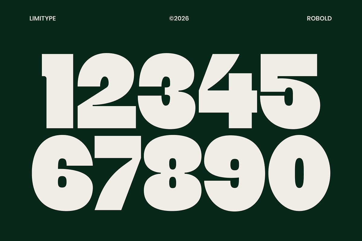 Robold - Bold Display Font, a Sans Serif Font by limitype (Photo 10 of 12)