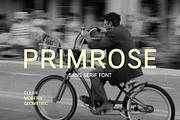Primrose Sans Serif Font, a Sans Serif Font by Lanastace Studio (Thumbnail 1 of 13)