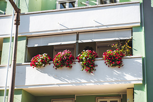 Balcony with blooming flower pots, an Architecture Photo by SkyNext