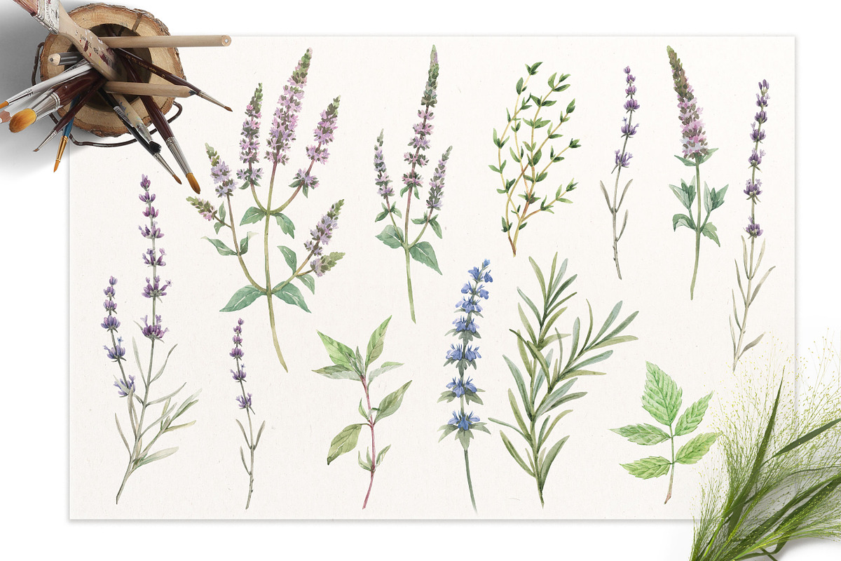 Fragrant herbs set.Watercolor Flower, a Graphic by Lembrik's Artworks (Photo 2 of 2)