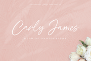 Adelyn Script Font, a Script Font by Freshly Made Type (Thumbnail 7 of 13)