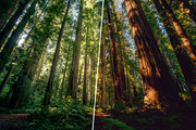 Matte Photoshop Actions, an Action Add-On by Viktor Gjokaj (Thumbnail 6 of 7)