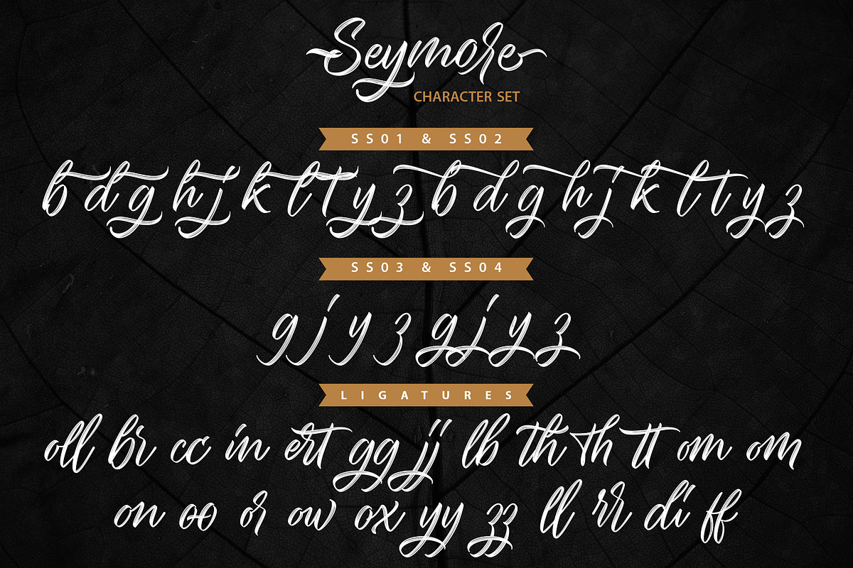 Seymore – Brush Script Font, a Script Font by Typefactoryco (Photo 9 of 12)