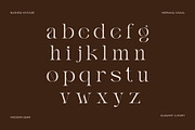 Basheq Vintage - Modern Serif, a Serif Font by Nirmana Visual (Thumbnail 11 of 18)