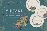 VINTAGE AUSTRALIAN WILDFLOWER SET, an Illustration by Sketchbook Designs (Thumbnail 4 of 12)