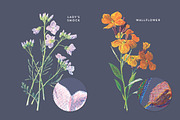 Vintage Flower Illustrations Bundle, an Illustration by Greta Ivy (Thumbnail 26 of 62)