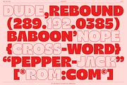 BN Buzzer Sans Serif Display Font, a Sans Serif Font by Bnick (Thumbnail 10 of 18)