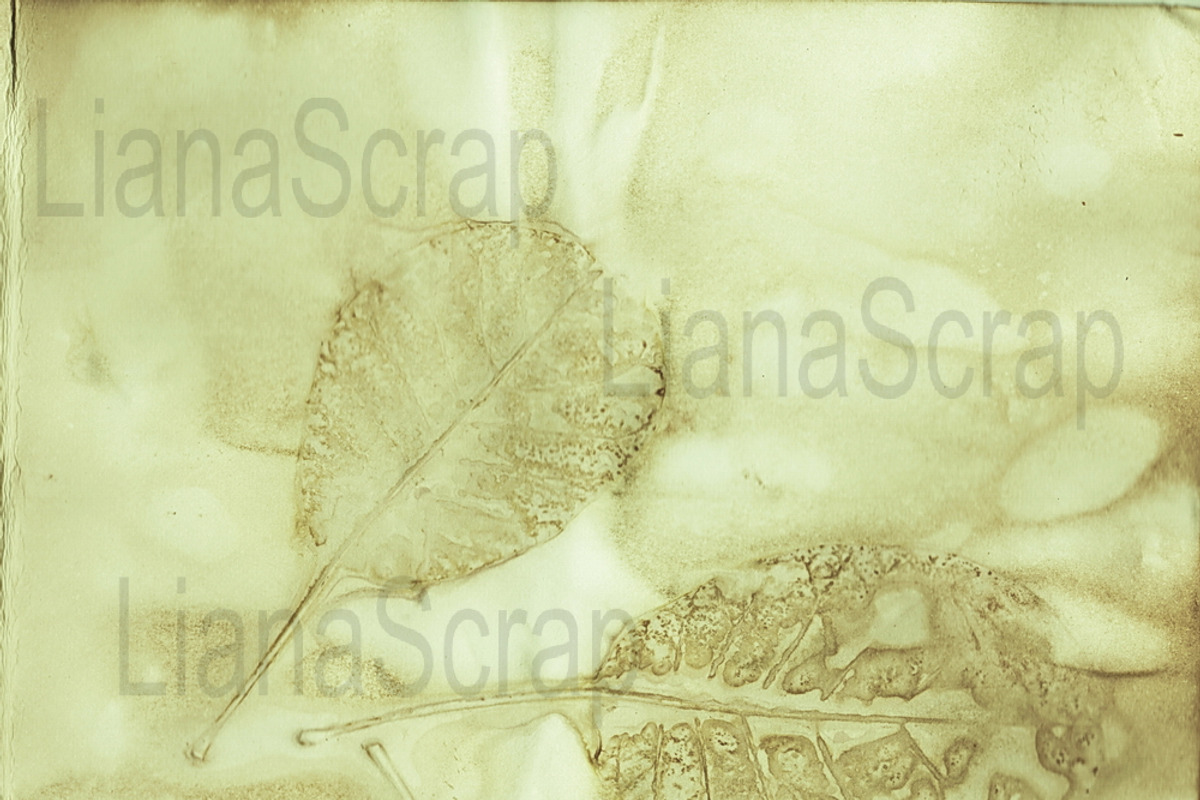 36 ECO Dyed paper - Forest Floor, a Texture Graphic by LianaScrap (Photo 11 of 19)