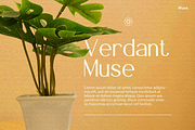 Fyora Elegant Sans Serif Font, a Font by Vadovastd (Thumbnail 4 of 8)