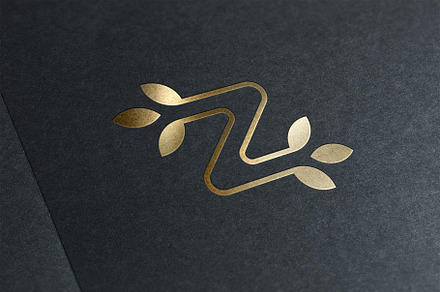 Letter Z Logo