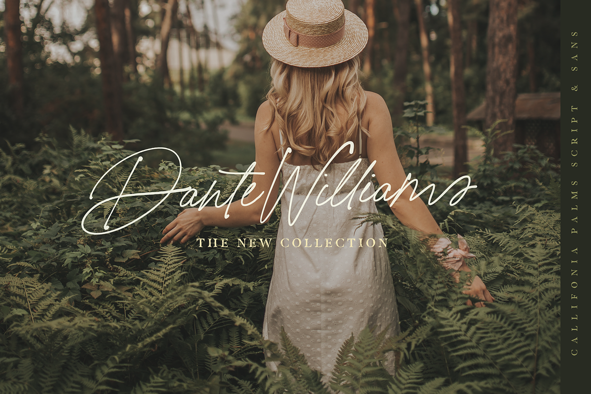 California Palms Fonts & Graphics preview 7
