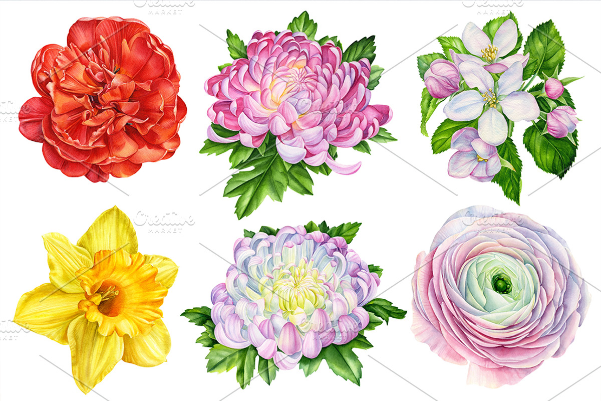 Beautiful bouquet of flowers, a Decorative Illustration by Hanna Hryharenka (Photo 9 of 10)