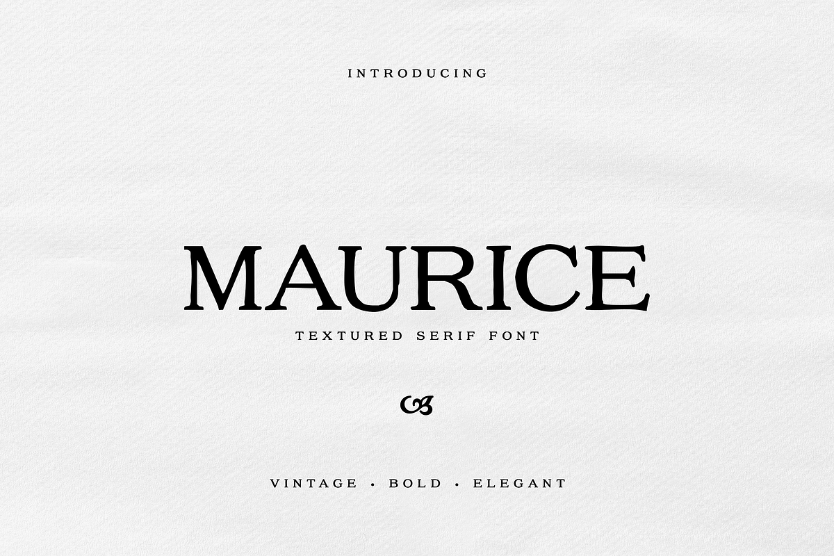 Maurice Textured Serif, a Serif Font by gafaroff studio (Photo 1 of 7)