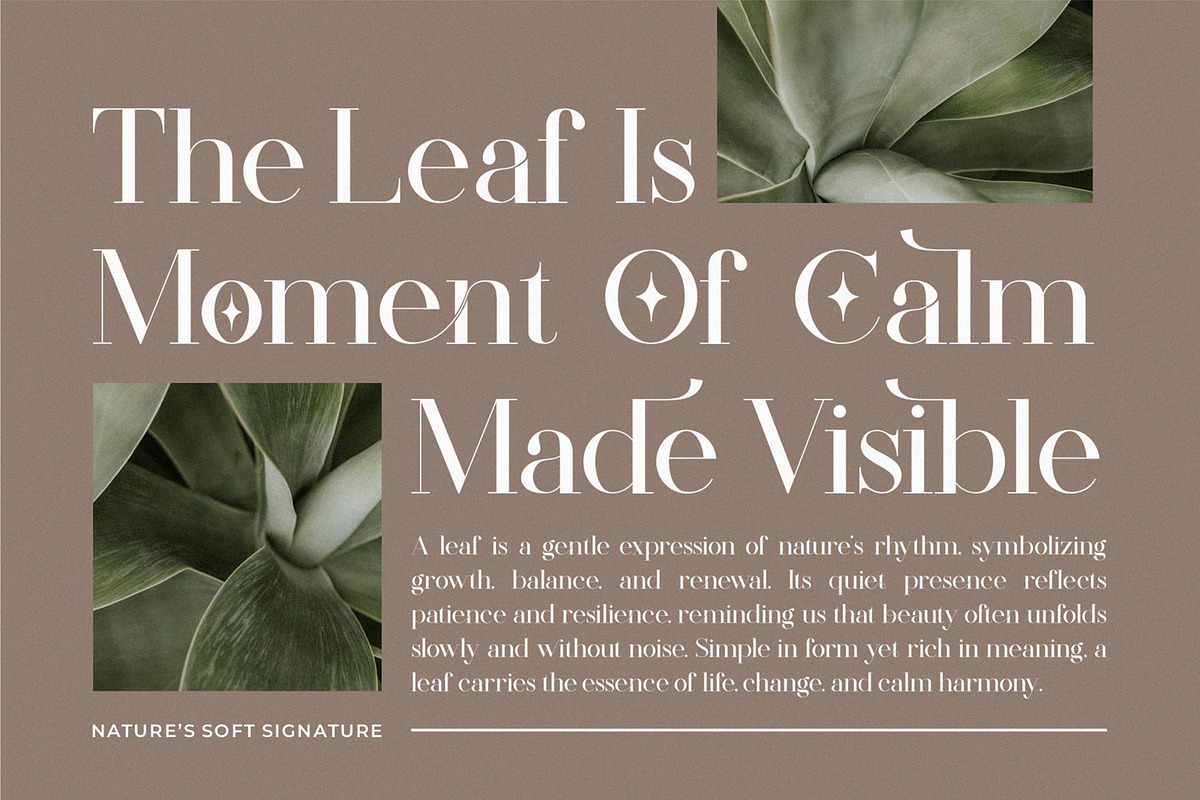 Firthe || Modern Classy Serif Font, a Serif Font by Ermedia Studio (Photo 6 of 10)